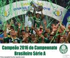 Palmeiras, Чемпион Бразилии 2016